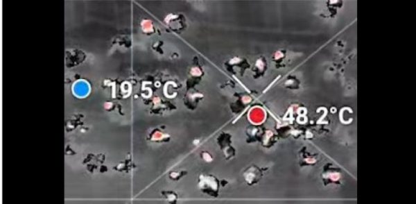 Ακρόπολη: Τουρίστες περίμεναν καρτερικά σε ουρές με 50 βαθμούς κελσίου στις 8 το πρωί