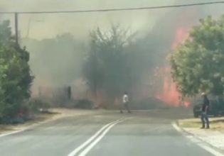 Σε ύφεση η φωτιά στον Τρίλοφο Θεσσαλονίκης – Μάχη με τις φλόγες που έφτασαν κοντά σε σπίτια