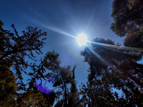 Καιρός: Με ζέστη και μποφόρ θα κυλήσει η Τρίτη