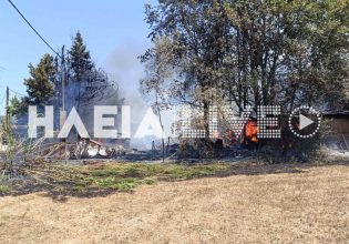 Πύργος: Φωτιά σε στάβλο στα Χανάκια – Σώθηκαν τα άλογα