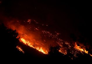 Φωτιά στη Βοιωτία: Τέθηκε υπό μερικό έλεγχο