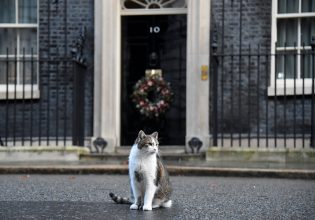 Ποιος είναι ο Λάρι, ο γάτος της Ντάουνινγκ Στριτ που θα υποδεχτεί τον Κίρ Στάρμερ