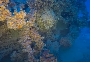 Ναυάγιο Jantina: Εντοπίστηκε η πλώρη του ιταλικού υποβρυχίου από τον Β’ Παγκόσμιο Πόλεμο (βίντεο)