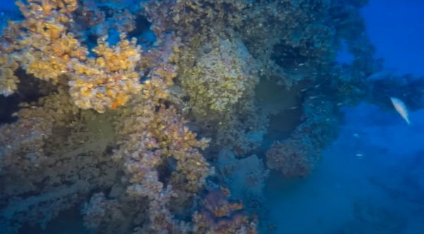 Ναυάγιο Jantina: Εντοπίστηκε η πλώρη του ιταλικού υποβρυχίου από τον Β’ Παγκόσμιο Πόλεμο (βίντεο)