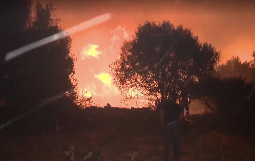 Φωτιά στην Εύβοια: Επιχειρούν ισχυρές πυροσβεστικές δυνάμεις – Κόπασαν οι άνεμοι