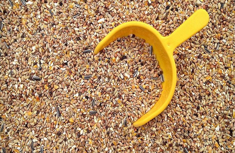 Επιτροπή Ανταγωνισμού: Στο μικροσκόπιο οι ζωοτροφές