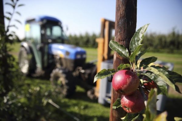 Κι όμως παράγουμε: Οικονομική ανάπτυξη και αγροδιατροφή