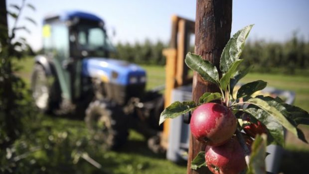 αγροδιατροφή