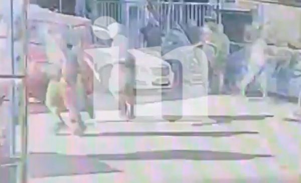 Λεωφόρος Αλεξάνδρας: Η στιγμή των πυροβολισμών έξω από το γήπεδο του Παναθηναϊκού – Βίντεο ντοκουμέντο