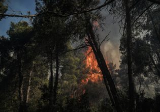 Φωτιά τώρα στην Κω: Μήνυμα του 112 για εκκένωση