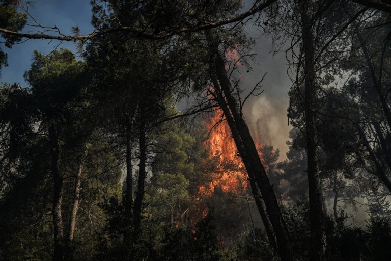 Φωτιά τώρα στην Κω: Μήνυμα του 112 για εκκένωση