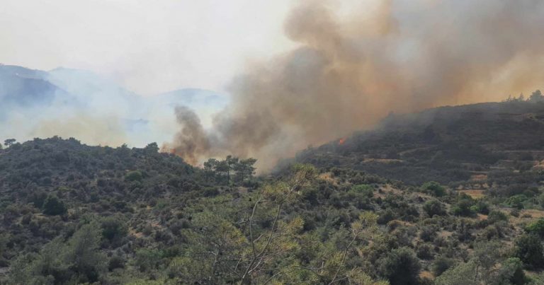 Πρόδρομος Βοιωτίας: Οι εξηγήσεις της Πυροσβεστικής για τον λανθασμένο συναγερμό με το 112