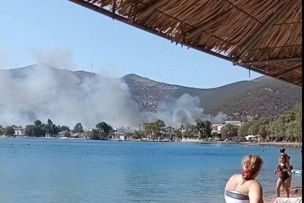 Φωτιά στην Εύβοια – Δίπλα στα σπίτια οι φλόγες στην περιοχή του Αλμυροπόταμου