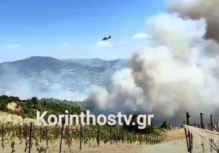 Φωτιά στην Κορινθία: Στη μάχη με τις φλόγες 110 πυροσβέστες, «σηκώθηκαν» 16 ενάερια μέσα