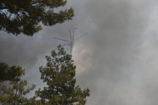 Φωτιά στο Σουφλί – Ξέσπασε σε δασική περιοχή, σηκώθηκαν εναέρια μέσα