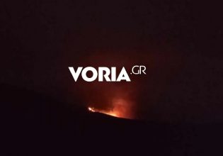 Φωτιά στο Πάικο: Κάηκαν 1.000 στρέμματα χαμηλής βλάστησης – Ανοίγονται αντιπυρικές ζώνες