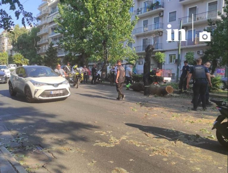 Eπεσε δέντρο στη Λεωφόρο Αλεξάνδρας – Κυκλοφοριακό χάος στους δρόμους