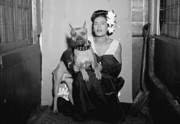 Οι τραγικές, τελευταίες ημέρες της Billie Holiday – «Προσπάθησα να κόψω αλλά δε μπορώ»