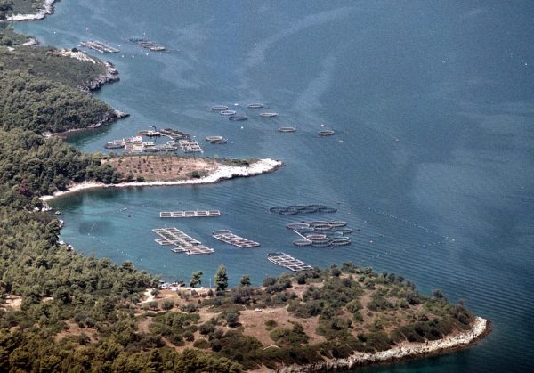 Ιχθυοκαλλιέργειες: «Κλειδί» το χωροταξικό για την επόμενη ημέρα