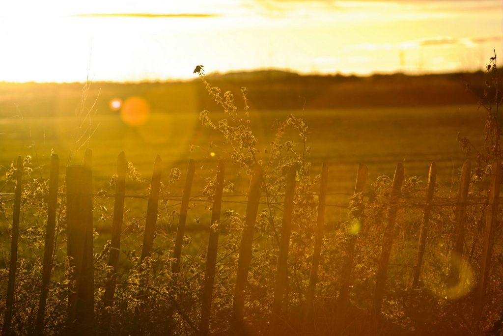 Πέντε συμβουλές των Στωικών φιλοσόφων για να ζούμε καλύτερα