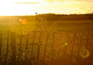 Πέντε συμβουλές των Στωικών φιλοσόφων για να ζούμε καλύτερα