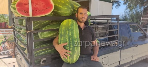 Καρπούζι: Εκοψε καρπούζι – γίγας που ζύγιζε σχεδόν 30 κιλά
