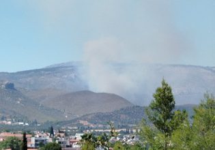Φωτιά στην Εύβοια σε δασική έκταση στην περιοχή Κοντοδεσπότι