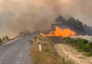 Φωτιά στη Στιμάγκα Κορινθίας: 37 μήνες φυλακή για τον έναν από τους δύο εμπρησμούς που ομολόγησε 72χρονος