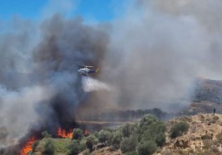 Μεγάλη φωτιά στην Κω – Ήχησε το 112 στην Καρδάμαινα