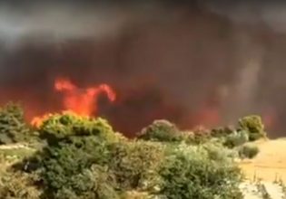 Φωτιά στην Κορινθία – Μεγάλη αναζωπύρωση στο Κούτσι Νεμέας