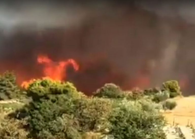 Φωτιά στην Κορινθία – Μεγάλη αναζωπύρωση στο Κούτσι Νεμέας