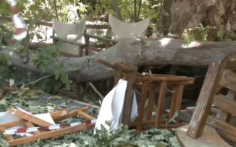 Λιτόχωρο: Δέκα άτομα προσπαθούσαν να σηκώσουν το κλαδί που σκότωσε την 44χρονη – Σοκάρουν οι εικόνες