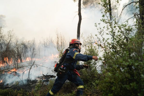 Φωτιά: Εκδηλώθηκαν τρεις διαφορετικές εστίες σε Διόνυσο, Μαραθώνα και Χαλάνδρι