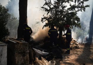 Αμαλιάδα: Ανθρώπινα οστά και τμήμα κρανίου ανακαλύφθηκαν κατά τη διάρκεια κατάσβεσης φωτιάς
