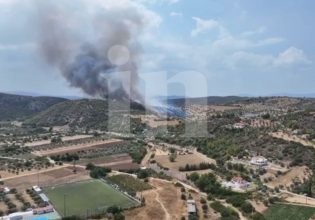 Μεγάλη φωτιά στον Ωρωπό – Ήχησε το 112, πετούν εναέρια μέσα