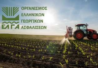 Κώστας Τσιάρας: Το επόμενο διάστημα οι αποζημιώσεις ΕΛΓΑ για τον Daniel