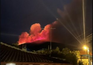 Φωτιά: Δυναμώνει η πυρκαγιά στο όρος Πάικο στην Πέλλα – Φυσούν δυνατοί άνεμοι
