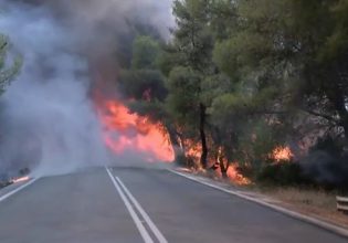 Πύρινος εφιάλτης στο Σοφικό Κορινθίας: Στο νοσοκομείο τρεις πυροσβέστες – Επιχειρούν 19 εναέρια μέσα