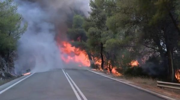 Πύρινος εφιάλτης στο Σοφικό Κορινθίας: Στο νοσοκομείο τρεις πυροσβέστες – Επιχειρούν 19 εναέρια μέσα
