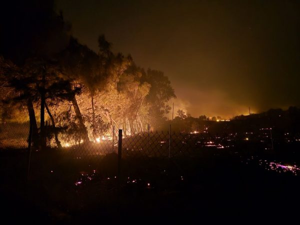 Φωτιά τώρα στην Κω: Απομακρύνονται κάτοικοι και τουρίστες από την Καρδάμαινα – Εκκενώνονται ξενοδοχεία