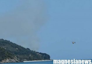 Πήλιο: Φωτιά σε αγροτοδασική έκταση στο Πουρί – Επιχειρούν εναέριες δυνάμεις