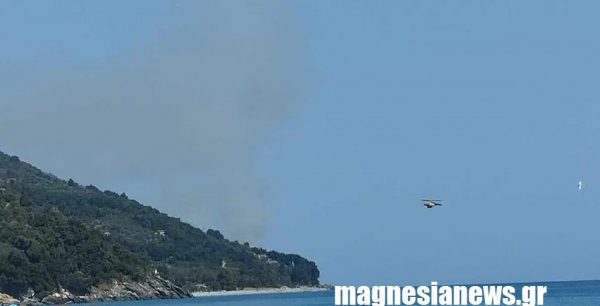 Πήλιο: Φωτιά σε αγροτοδασική έκταση στο Πουρί – Επιχειρούν εναέριες δυνάμεις