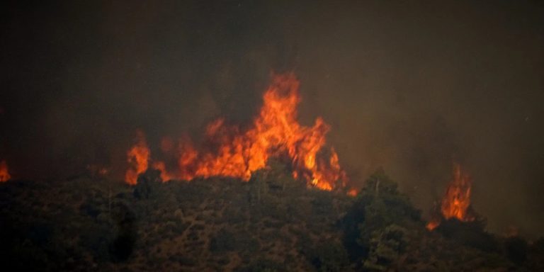 Μεσσηνία: Πυρκαγιά σε αγροτοδασική έκταση στον δήμο Πύλου – Νέστορος – Πνέουν ισχυροί άνεμοι
