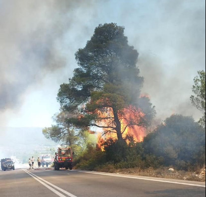 Συναγερμός για φωτιά στο Σοφικό Κορινθίας: Επιχειρούν 10 εναέρια μέσα