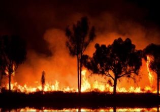Πολύ υψηλός κίνδυνος για εκδήλωση πυρκαγιάς σε Αττική και Πελοπόννησο