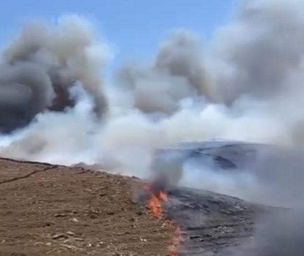 Φωτιά τώρα στην Τζια: Επιχειρούν επίγειες και εναέριες δυνάμεις της Πυροσβεστικής