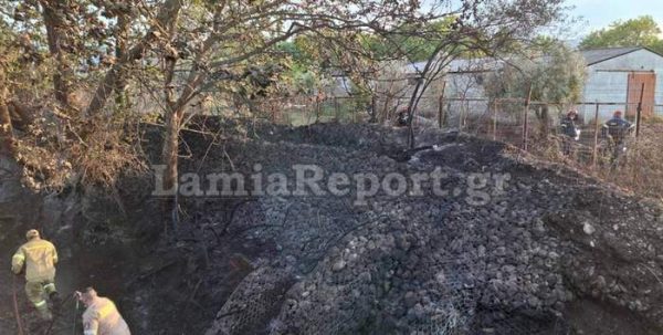 Πελαργός προκάλεσε φωτιά στη Φθιώτιδα