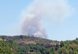 Φωτιά στην Αρκαδία: Επιχειρούν 8 εναέρια μέσα – Ήχησε το 112