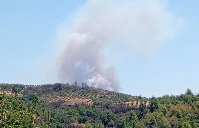 Φωτιά στην Αρκαδία: Επιχειρούν 8 εναέρια μέσα – Ήχησε το 112