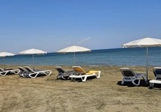 Ο δήμος που αναβάθμισε την παραλία των σκύλων και δώρισε στους τετράποδους δημότες ξαπλώστρες και ομπρέλες